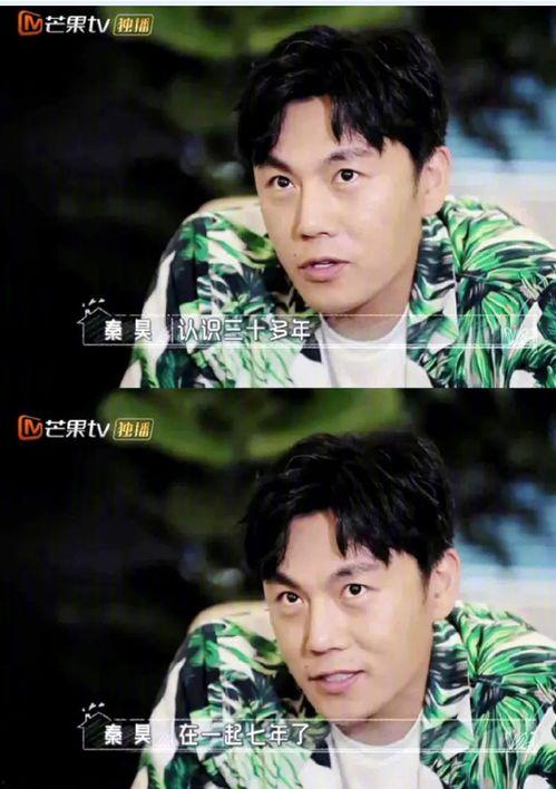 女主娱乐圈吃瓜小说推荐,女主吃瓜指南，揭秘明星背后的秘密