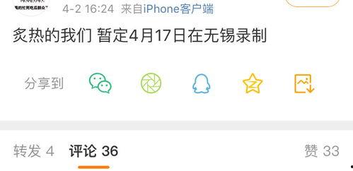 娱乐吃瓜酱文件传输,揭秘文件传输背后的精彩故事